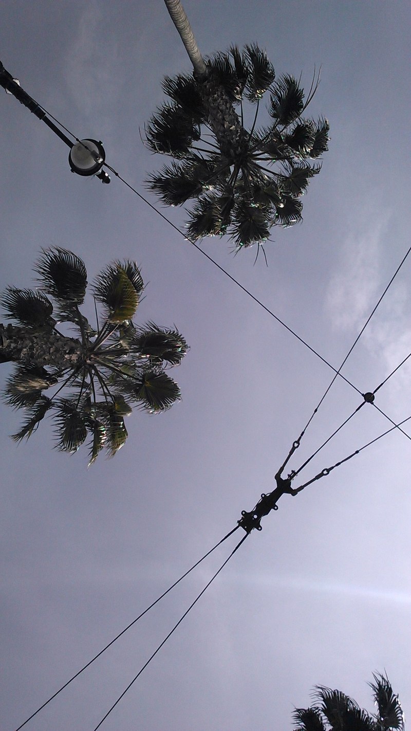 Illustration for article titled 30 Photos Taken Straight Up